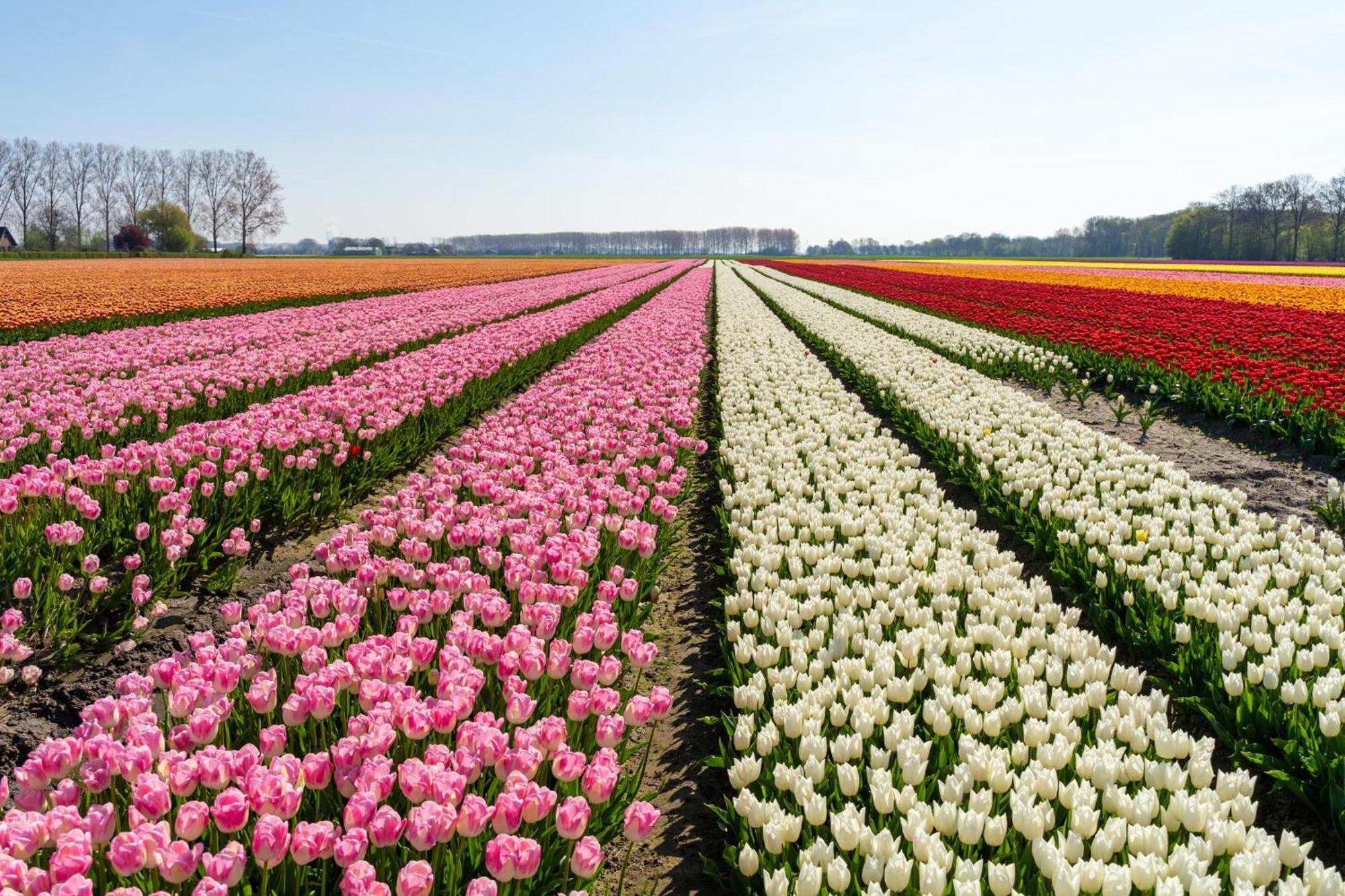 Vakantiehuis De Wilgenhof Wetering Exteriér fotografie